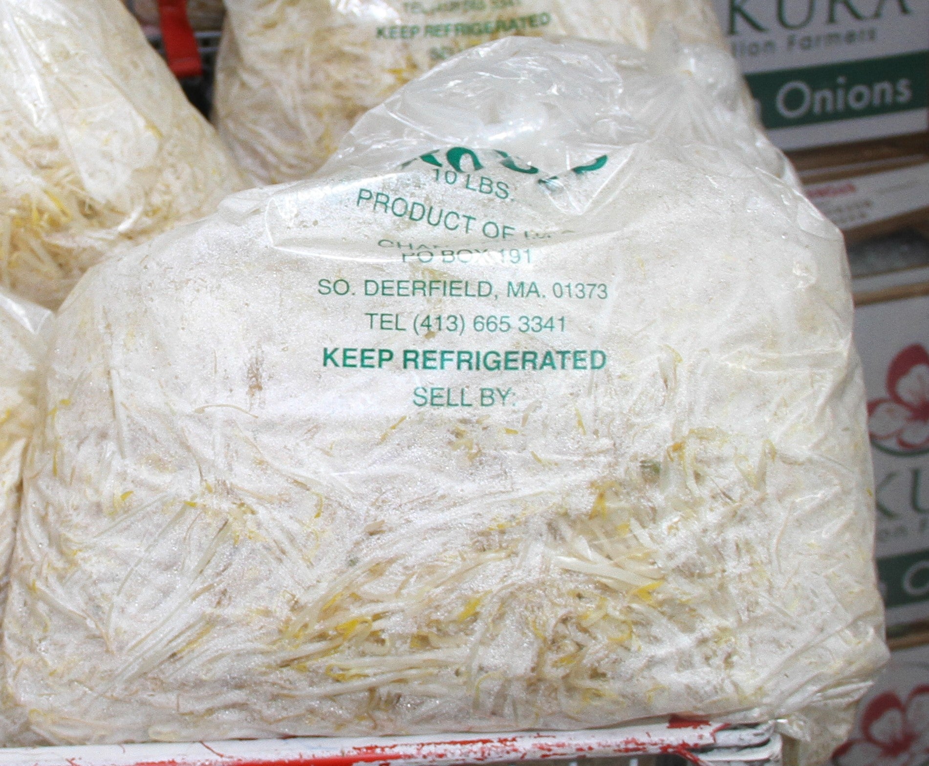 10lb  Mung Bean Sprout-숙주