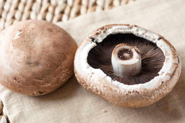 Portobella Mushroom-포토벨라버섯 – ajufood