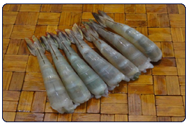 10*4lb (40lb) White Shrimp-백새우 (21/25)