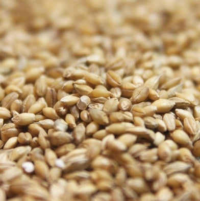 통보리 50LB - Pearled Barley