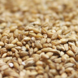 통보리 50LB - Pearled Barley