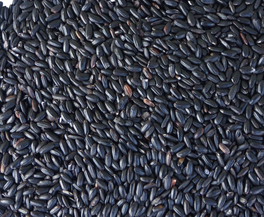 흑미 - Black Rice