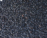 흑미 - Black Rice