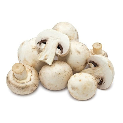 양송이 버섯 10# Mushroom