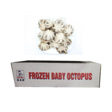 Fish Boy Frozen Baby Octopus