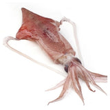 10*4.4lb (44lb) KR) Squid U10 Cleaned T&T-냉) 한치