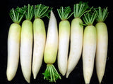 Daikon-중국무