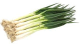 Big Scallion (Daepa)-대파