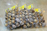 Quail Eggs (Meachurial)-메츄리알