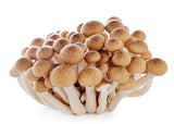 Simeji Mushroom (Brown) 9pk-시메지버섯 (브라운)