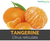 Tangerine-텐져린