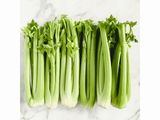 Celery-샐러리