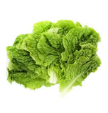 Green Leaf (Lettuce)-그린 상추