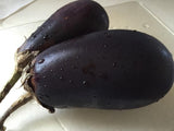 Eggplant-미국 가지