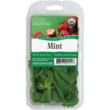 Mint-후) 민트