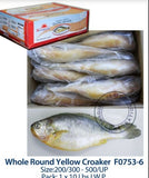 10lb (400/500) Yellow Croaker-조기