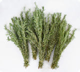 Thyme-타임