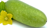 Winter Melon-윈터 멜론