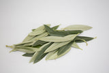 올리브 잎 OLIVE Leaf