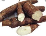 Cassava (Yucca)-유카