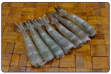 10*4lb (40lb) White Shrimp-백새우 (21/25)