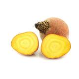 Beet (yellow)-비트(노랑)