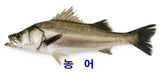 Sea Bass-농어