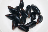 Fresh (PEI) Mussel-후레쉬) 홍합