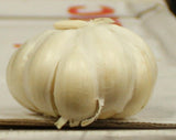 5pk Garlic-마늘