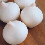 White Onion-흰 양파