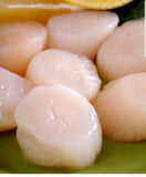 (Bay Size) Frz Scallop-냉)스칼럽