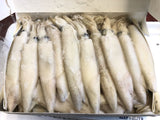 3*16.6lb (49.8lb) (600UP) Frozen Squid-오징어